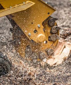 GreenTops - Stump Grinding Image
